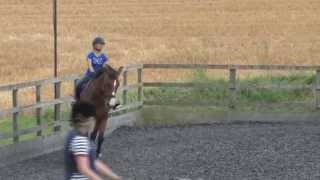 Jackpot Flatwork lesson