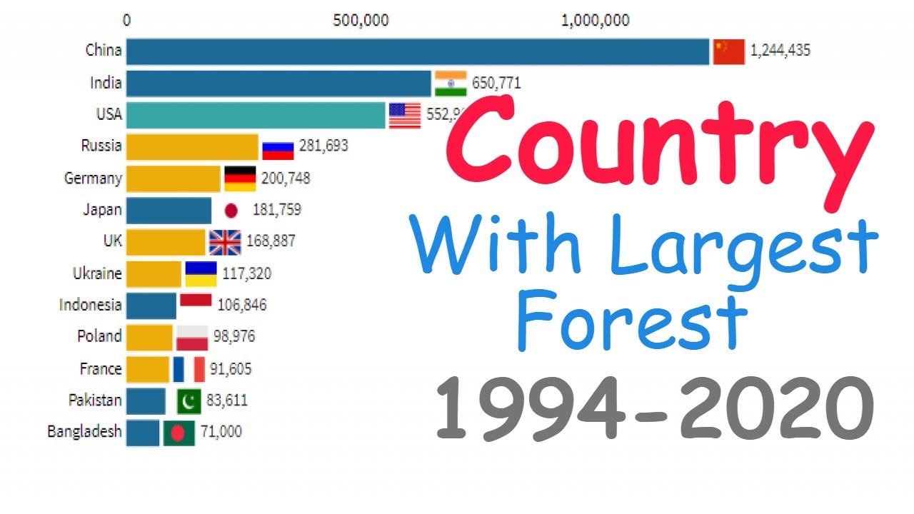 The Top Ten Countries With The Largest Forest AreasBeautiful Forest