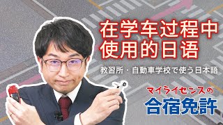 【簡体字中国語字幕】模型車で理解し易い！教習所・自動車学校でよく出る日本語①