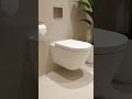 Modern Luxury Bathroom Tour | White Ceramic Wall Hung Toilet | Space-Saving Bathroom Design