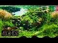 [Cropped] Mizukagami (Water Mirror) | Aquascape • Fixed 3hours 4K HDR 60fps • Water sound・UHD16:9