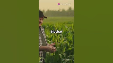 Plant performance and soil–plant carbon relationship #sciencefather #researchers #farming #farm