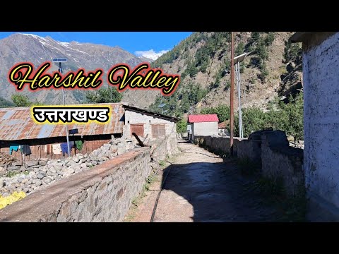 Harshil Valley | Gangotri Dham | Char Dham Yatra | हर्षिल के सेब के बागान | चारधाम यात्रा 2026