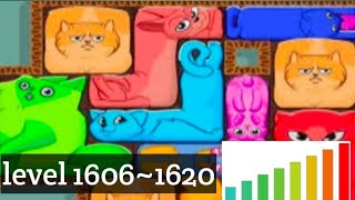Puzzle Cats - level 1606~1620 Solve 'Fit the Board Type Puzzles With Cat Shaped Blocks @escapeking screenshot 5