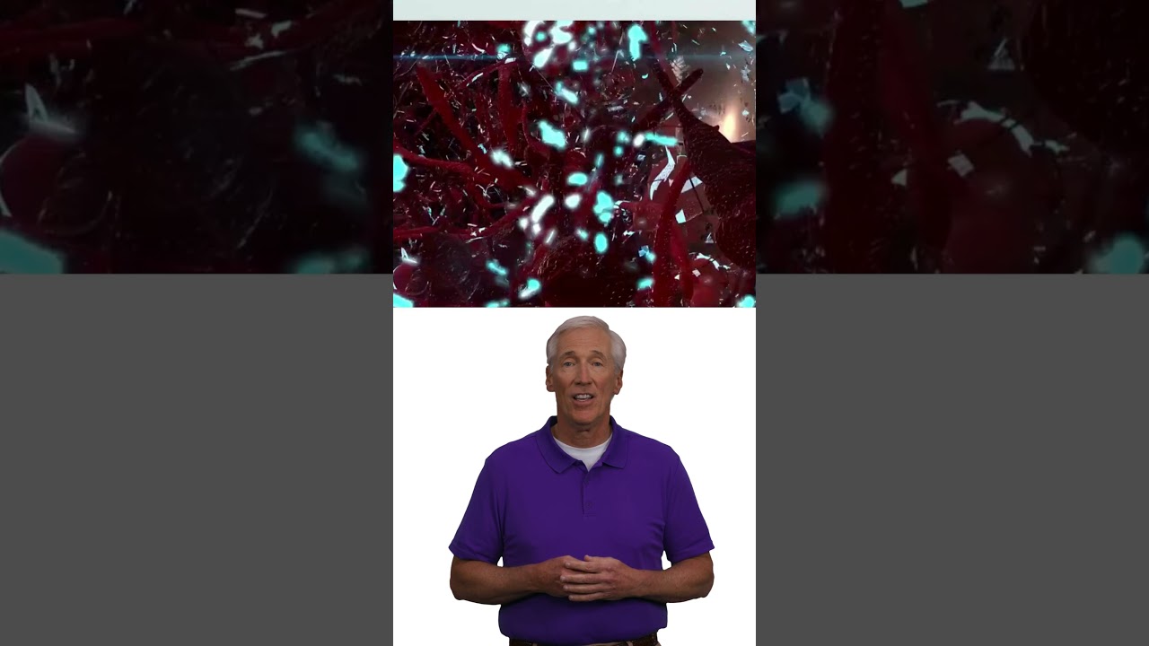 Is Zencortex REALLY the Best Choice for Brain Performance?