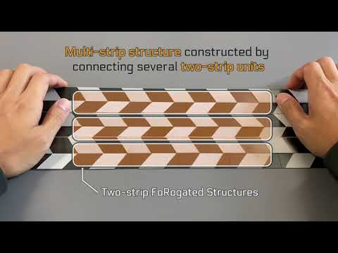 Foldable and Rollable Interlaced Structure for Deployable Robotic System