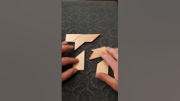 Can you solve this Amazing puzzle?! #puzzle #puzzles #brainteaser #brainteasers #shorts #amazing