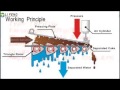 Maintenance free TRP sludge dewatering machine