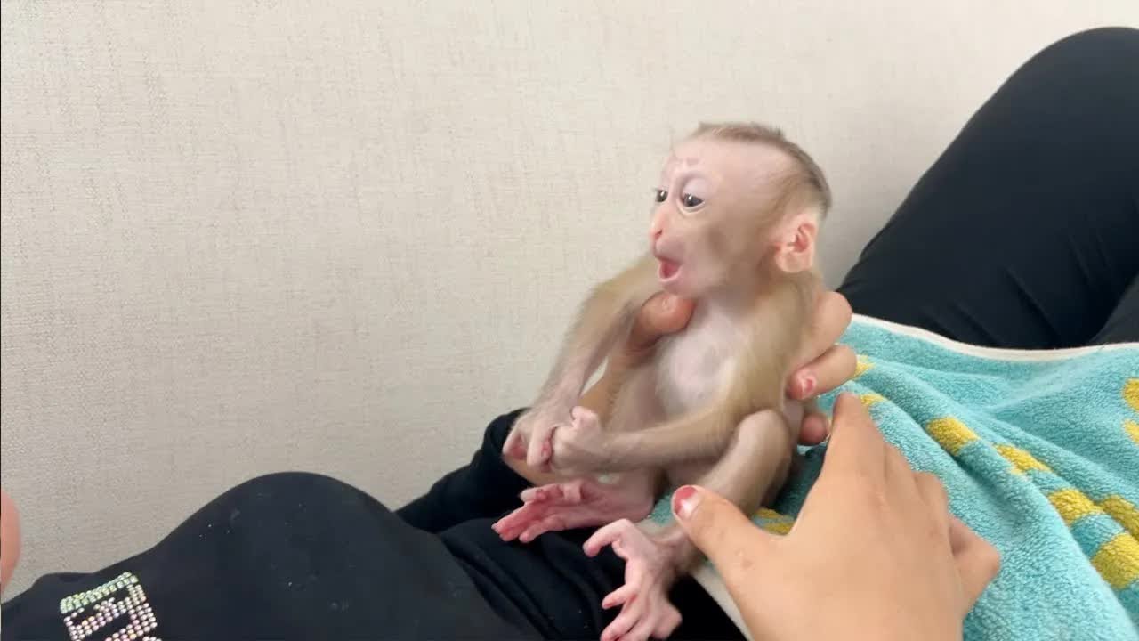 Lovely Baby Jelly Doing Lil Chit Chat To Mommy