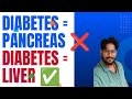 Diabetes = Pancreas ❌Diabetes = Liver ✅