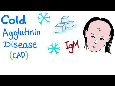 Video: Cold sickness. Cold agglutinin disease