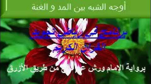 برنامج في رياض تجويد القرآن الكـريم أوجه الشبه بين صفة الغنة وحروف المد