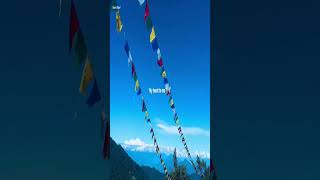# nature video
