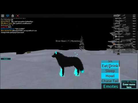 howl we re wolves roblox wolves life w radiojh games youtube