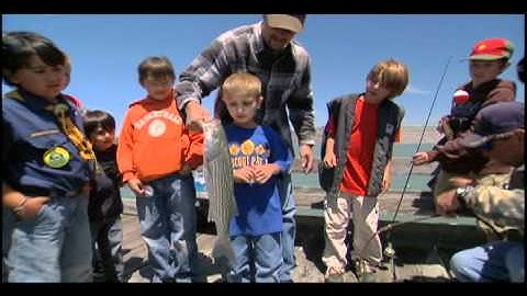 50 Years of Saving the Bay