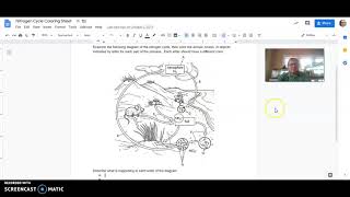 Geochemical Cycle Coloring Sheet Instructions