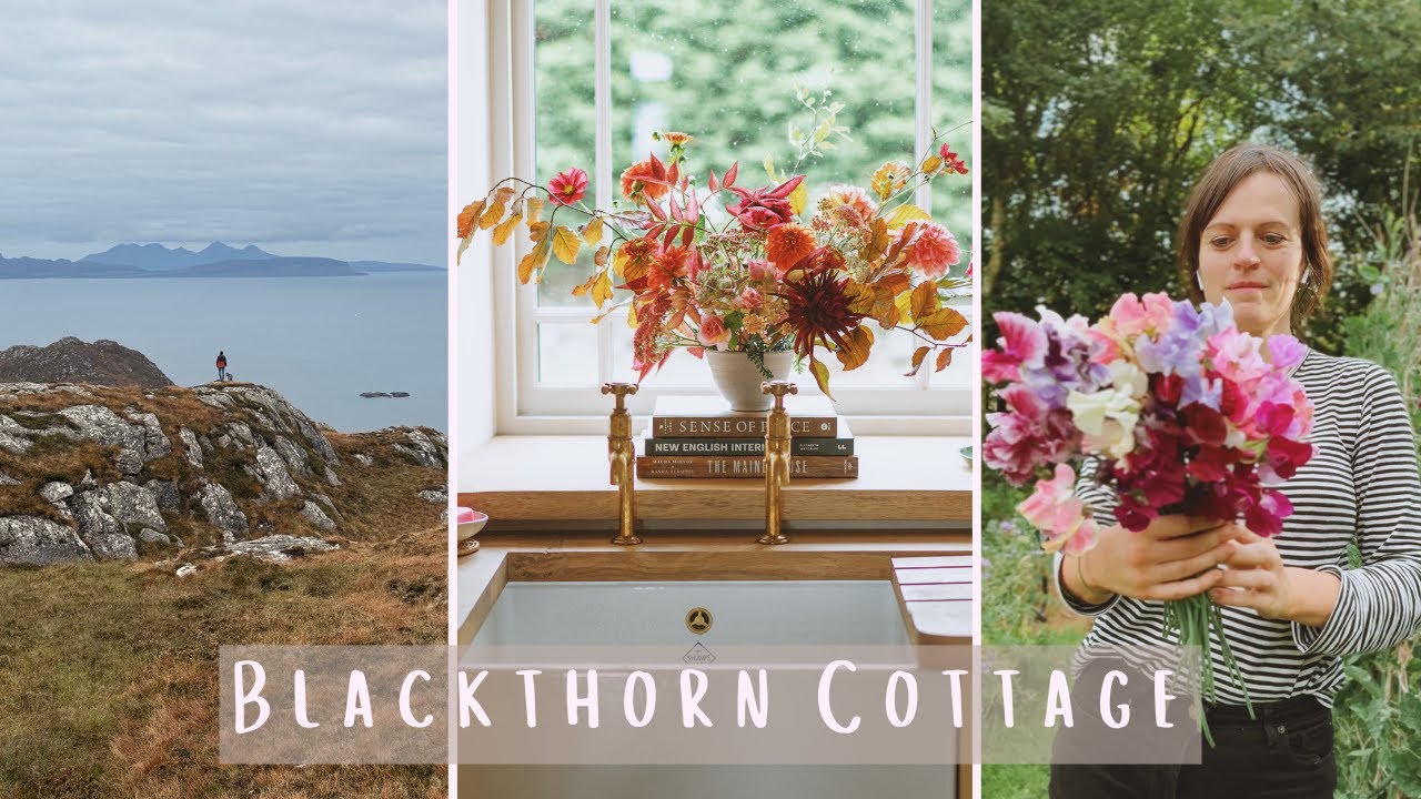 September at Blackthorn Cottage | Sowing Sweet Peas, Autumnal Flowers & Garden Life #2