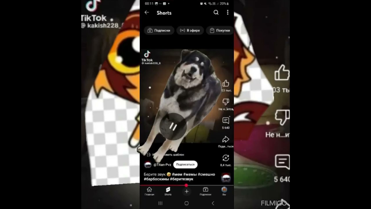 Лорд и сму плохо видут 