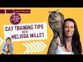 Cat Training Pointers from a Pro!