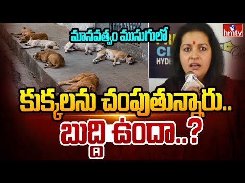 మానవత్వం ముసుగులో కుక్కలను చంపుతున్నారు..బుద్ది ఉందా..?| Renu Desai | hmtv - HMTVNEWS