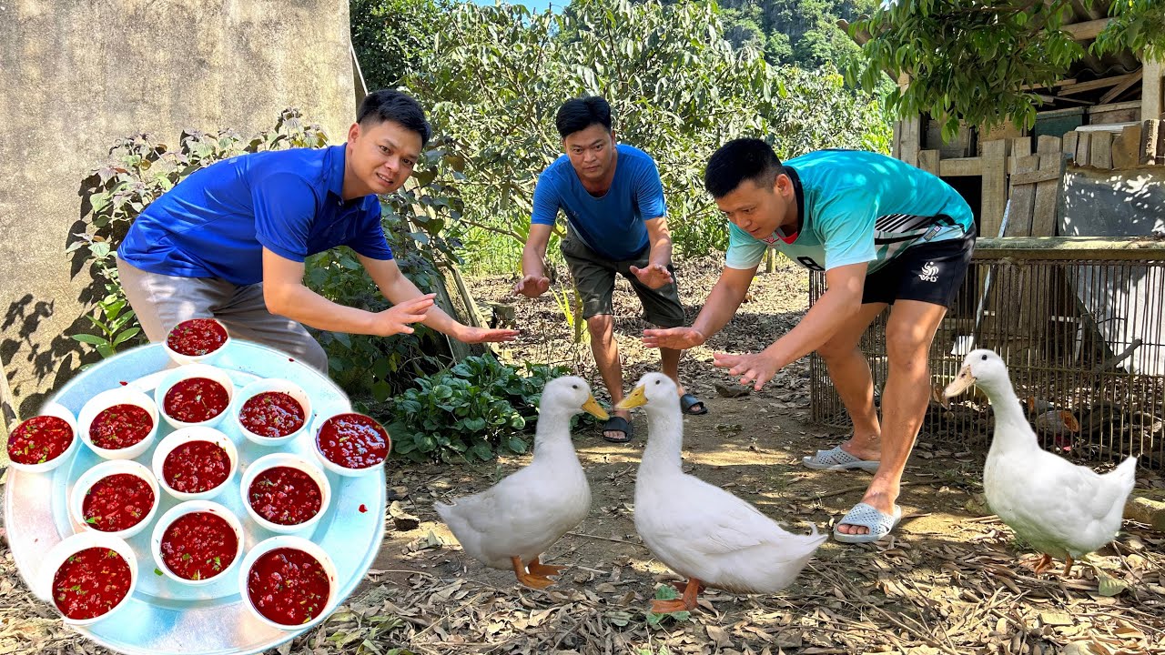 LÀM MÂM TI. ẾT CANH NGAN ĐÓN KHÁCH PHƯƠNG XA - Bùi Văn Trọng