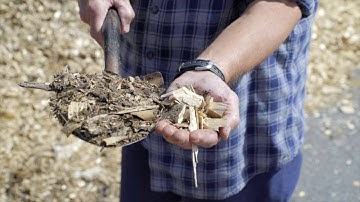 Mass Mortality Composting: Sourcing Carbon