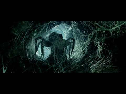 Video: Miks Shelob On Naine Varjusõjas