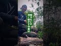 夏の土用。草刈りはOK。草抜きは、やめた方がいい。──土用に限らず、いつだって土の声を聞いていたい。そんな庭しごとの話です。