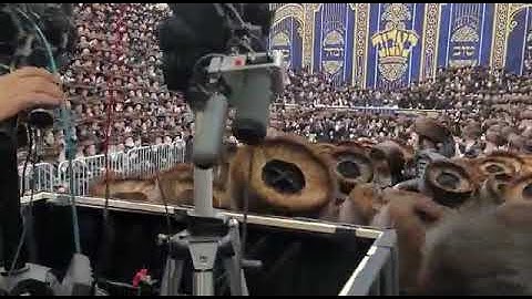 Thumbnail of A Wedding In Bobov