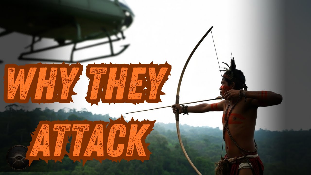 Почему они нападают: трагическая история неконтактных племён Амазонки