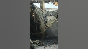 The Rings of Power | Orcs Release the Warg on Elves | Episode 3 Adar