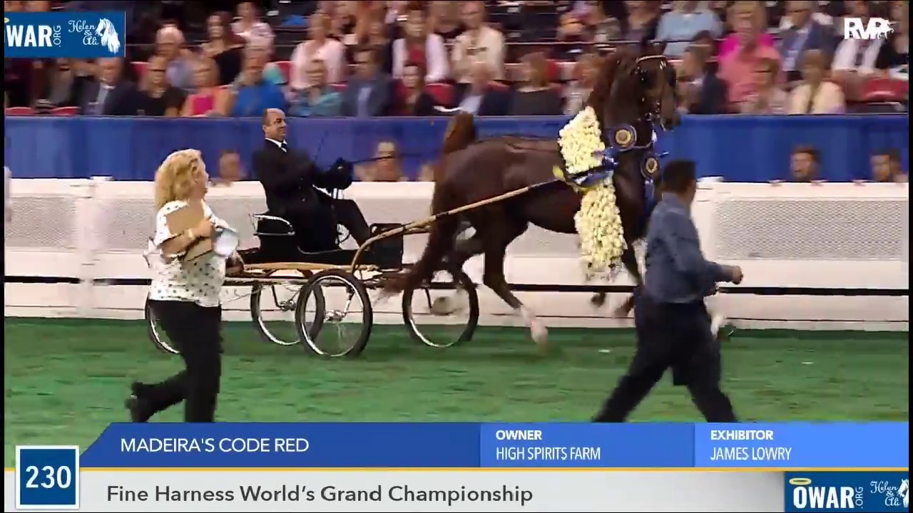 World Championship Horse Show 2018 YouTube