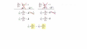 Animation on How Showing Calculus Proof of Budget Lines and Indifference Curves