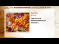 Deva Premal & Miten: 21-Tage Mantra-Meitationsreise - Tag 10