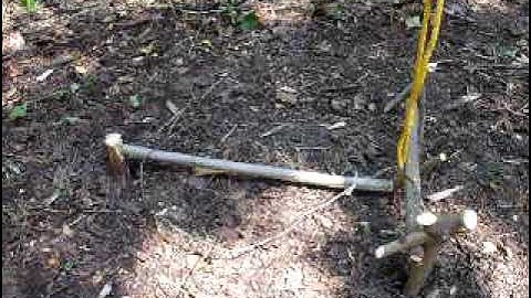 Toggle release snare trap