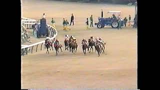 中央競馬年鑑　1989　年度代表馬　イナリワン