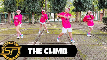 THE CLIMB ( Dj Ronzkie Remix ) - Dance Trends | Dance Fitness | The South Force