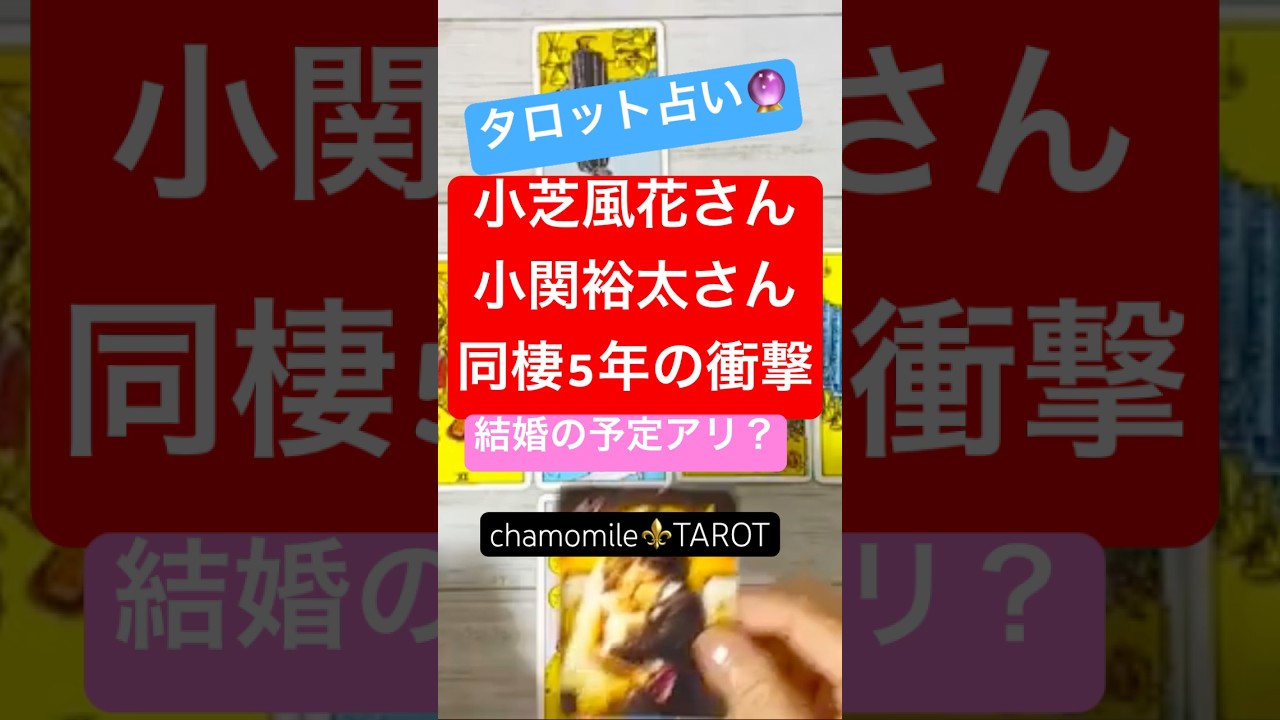 #小芝風花 #小関裕太 #占い #タロット #shorts #恋愛