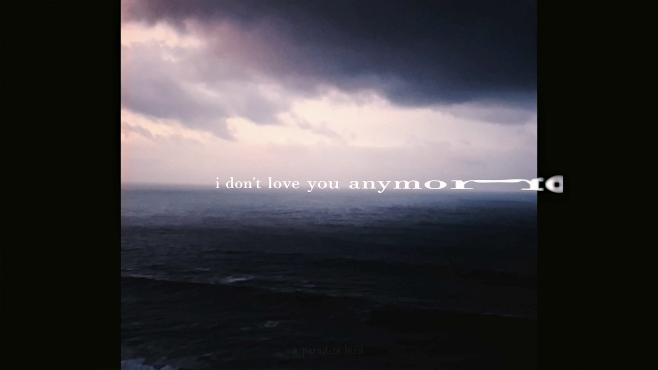 I Don't Love You Anymore - YouTube