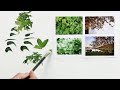 Quick Tip 156 - Foliage Strokes