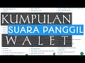 Kumpulan Suara Panggil Walet Terbaik Swiftlet Calling Sound External Mp3 - Mp4 Download