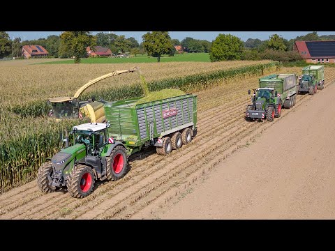 Maize 2024 / Krone Big X 1180 / Busche Estorf / Corn silage harvest