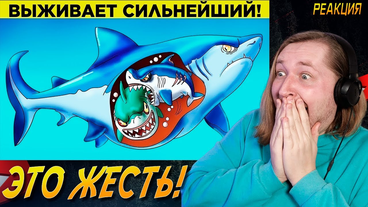 Худшие Родители Среди Животных - Скажите спасибо что вы не их дети (РЕАКЦИЯ) | ТипоТоп