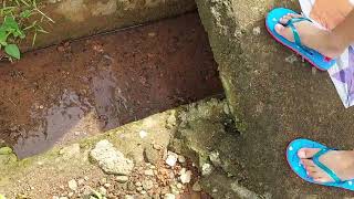 Mancing Kepiting pakai senar layangan