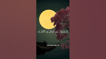(ولا تحسبن الله غافلا عما يعمل الظالمون) سورة إبراهيم الآية 42 حالات واتساب statut WhatsApp