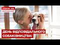 ЩО МАЄ ЗНАТИ КОЖЕН ВЛАСНИК СОБАКИ? ПОРАДИ, ЯК УБЕЗПЕЧИТИ ВАШОГО УЛЮБЛЕНЦЯ!