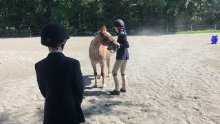 Kristen Harrison And Crf Teddy In Junior Pony Showmanship On 7182020