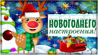 Новогоднего НАСТРОЕНИЯ, море радости и восхищения!