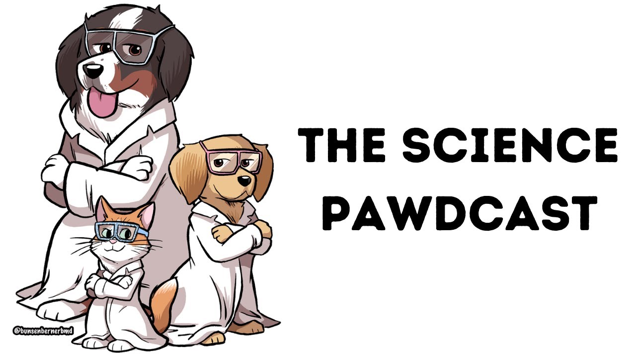 The Science Pawdcast - Season 4 Episode 41: Smart phones and kids, Cat History, and Dr. Ivis...