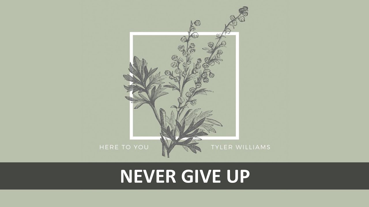 Watch TYLER BROWN WILLIAMS - NEVER GIVE UP LYRICS on YouTube Watch TYLER BROWN WILLIAMS - NEVER GIVE UP LYRICS on YouTube
